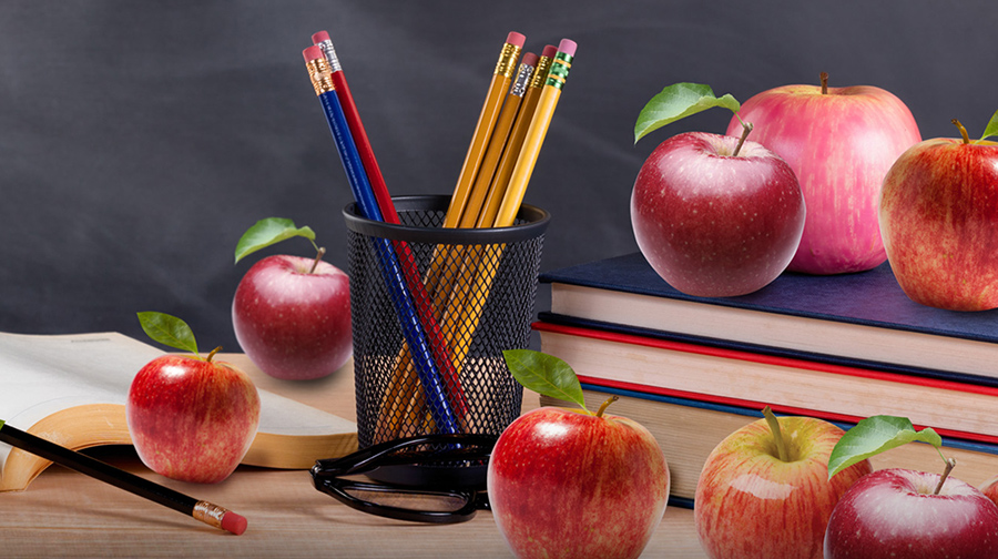 Teaching in the UK: Understanding Assessment and Reporting for Primary and Secondary Teachers